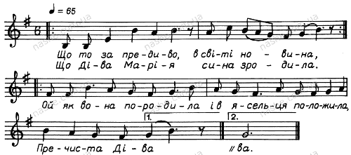 Що то за предиво